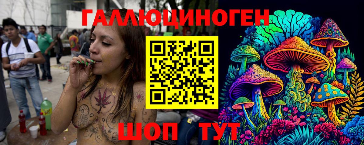 Псилоцибиновые грибы Cubensis  Галлюциногенные грибы мицелий  Балашиха  Вход с VPN 