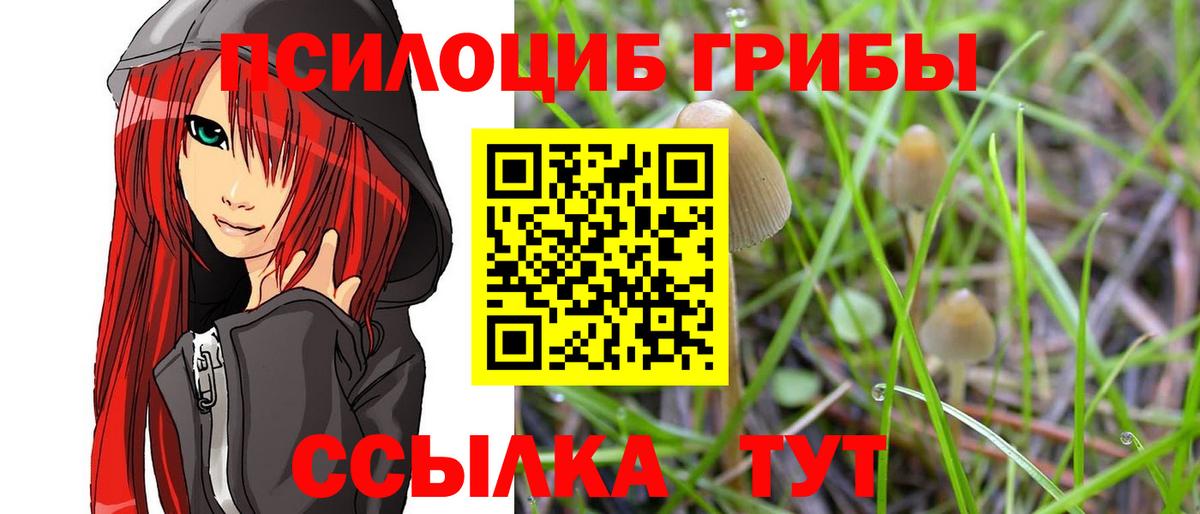 Галлюциногенные грибы ЛСД Балашиха